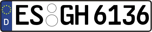 ES-GH6136