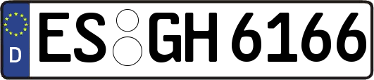 ES-GH6166