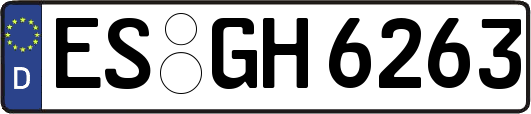 ES-GH6263