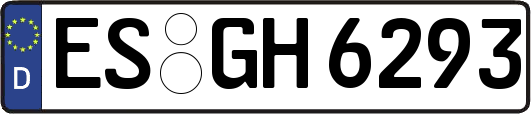 ES-GH6293
