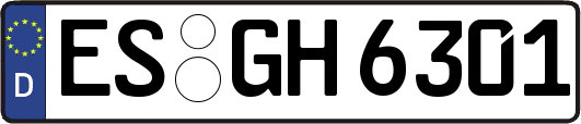 ES-GH6301