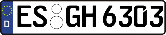 ES-GH6303