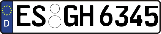 ES-GH6345