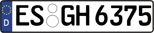 ES-GH6375