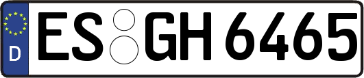 ES-GH6465