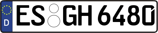 ES-GH6480