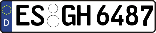 ES-GH6487