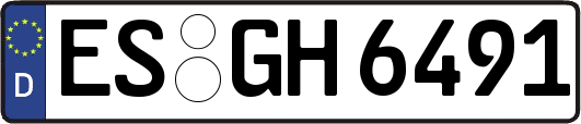 ES-GH6491