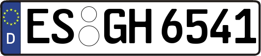 ES-GH6541