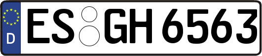 ES-GH6563