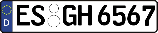 ES-GH6567
