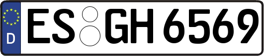 ES-GH6569