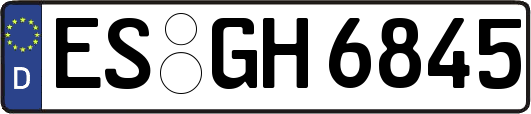 ES-GH6845