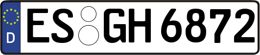 ES-GH6872