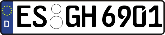 ES-GH6901