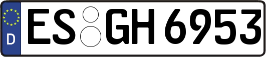 ES-GH6953