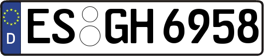 ES-GH6958