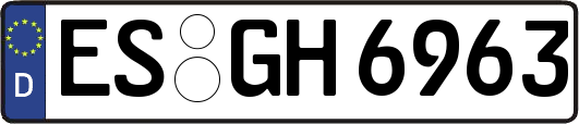 ES-GH6963