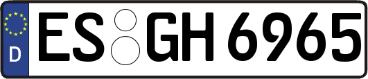 ES-GH6965