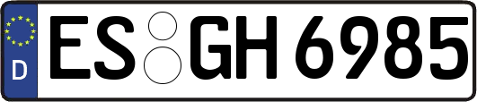 ES-GH6985