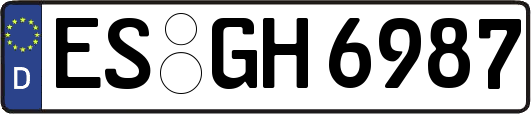 ES-GH6987