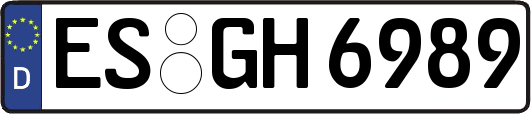 ES-GH6989