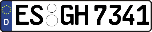 ES-GH7341