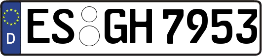 ES-GH7953
