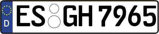 ES-GH7965