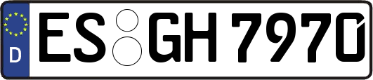 ES-GH7970
