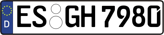 ES-GH7980