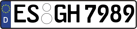 ES-GH7989