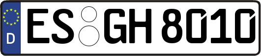 ES-GH8010