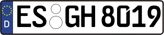 ES-GH8019