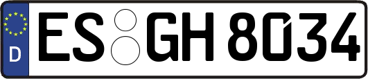 ES-GH8034