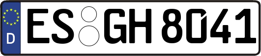 ES-GH8041