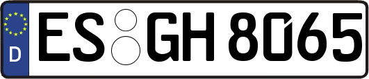 ES-GH8065