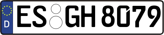 ES-GH8079