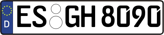 ES-GH8090