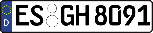 ES-GH8091