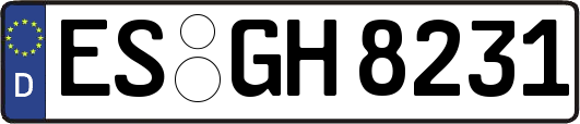 ES-GH8231