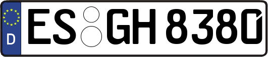 ES-GH8380