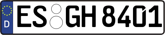 ES-GH8401