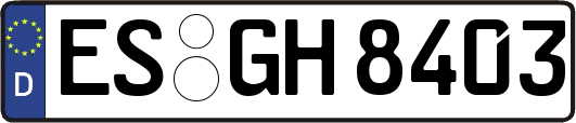 ES-GH8403