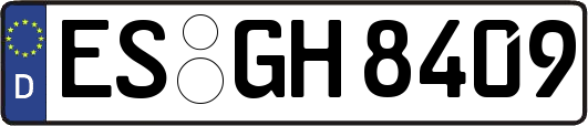 ES-GH8409