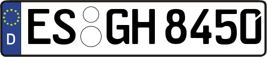 ES-GH8450