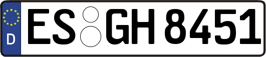 ES-GH8451