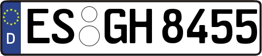 ES-GH8455