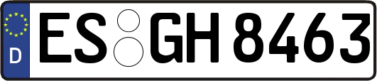 ES-GH8463