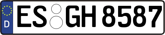 ES-GH8587